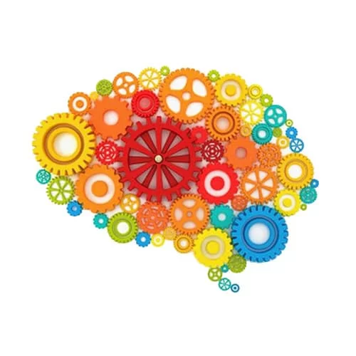 فکری و آموزشی